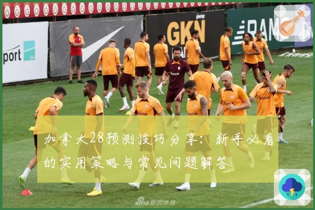 加拿大28预测技巧分享：新手必看的实用策略与常见问题解答