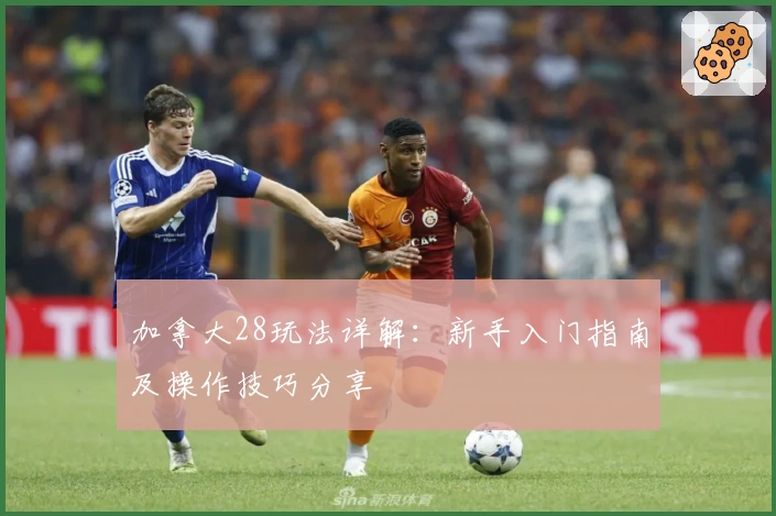 加拿大28玩法详解：新手入门指南及操作技巧分享