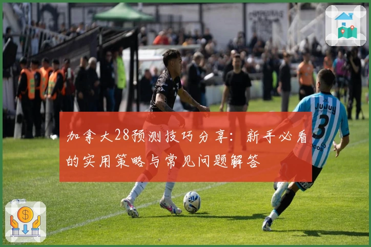 加拿大28预测技巧分享：新手必看的实用策略与常见问题解答