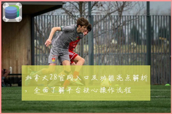 加拿大28官网入口及功能亮点解析，全面了解平台核心操作流程