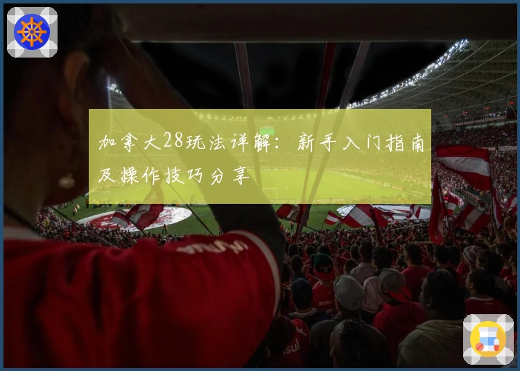 加拿大28玩法详解：新手入门指南及操作技巧分享