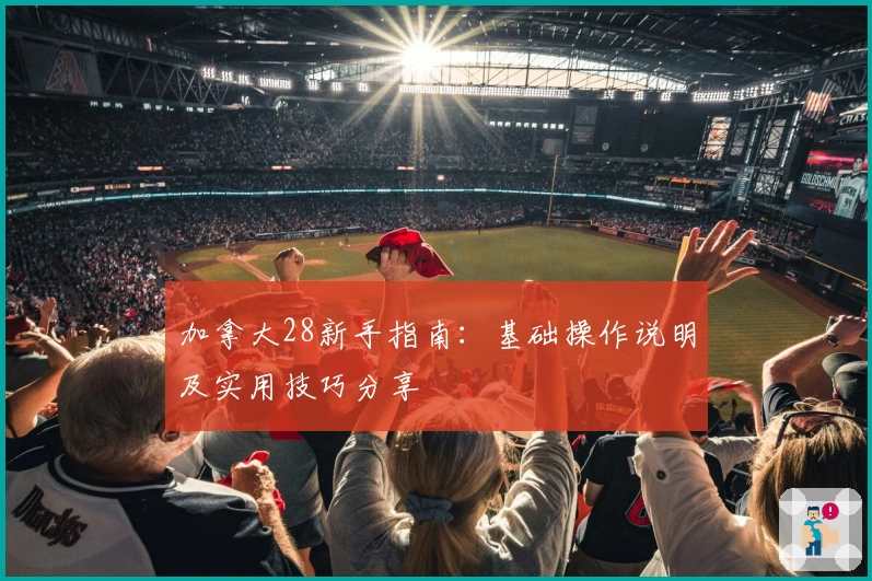 加拿大28新手指南：基础操作说明及实用技巧分享