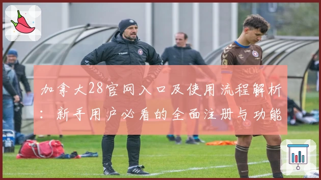 加拿大28官网入口及使用流程解析：新手用户必看的全面注册与功能指导