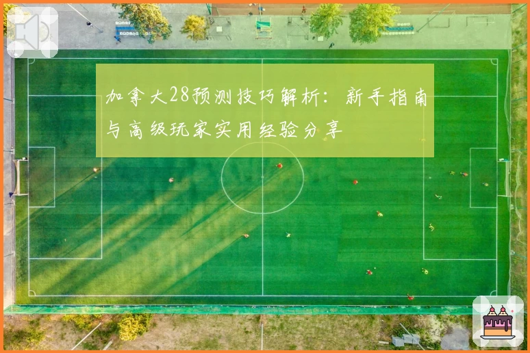 加拿大28预测技巧解析：新手指南与高级玩家实用经验分享