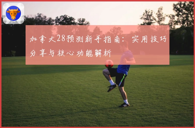 加拿大28预测新手指南：实用技巧分享与核心功能解析