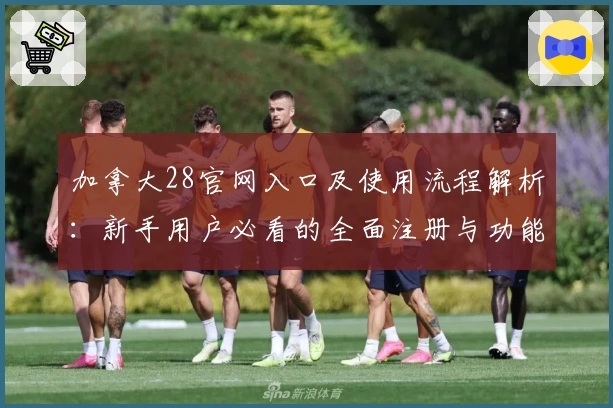 加拿大28官网入口及使用流程解析:新手用户必看的全面注册与功能指导